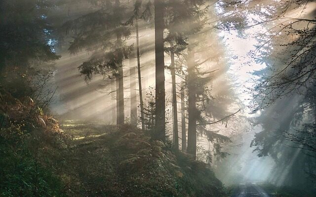 duftyoga.de - Entspannung Audio Download 6